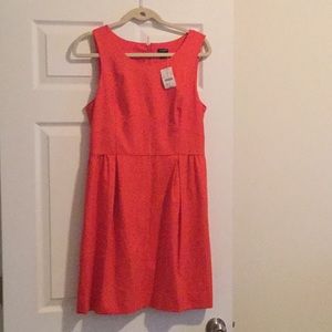 J crew dress New